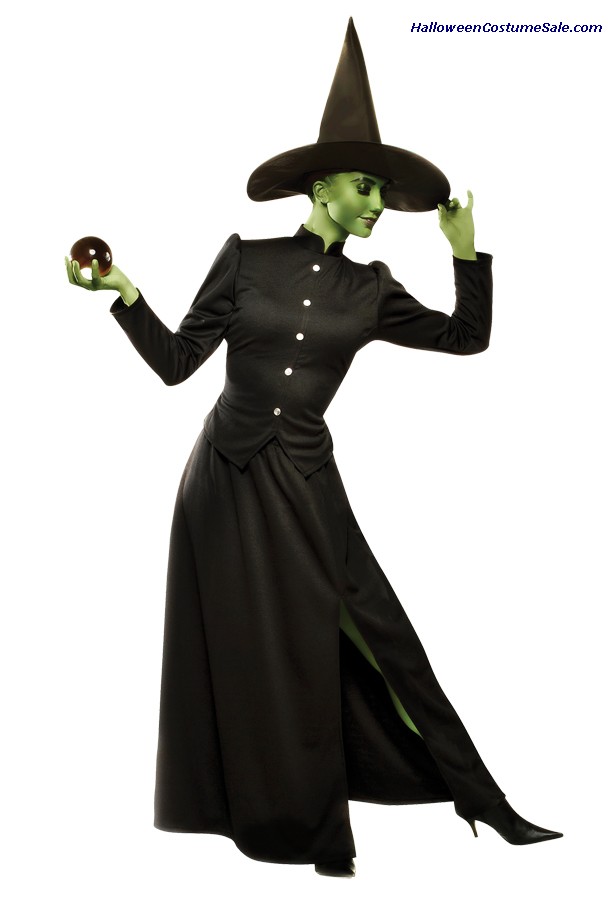 CLASSIC WITCH ADULT COSTUME