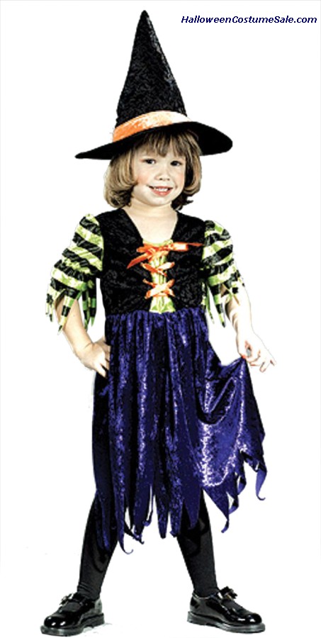 FAIRY TALE WITCH TODDLER COSTUME