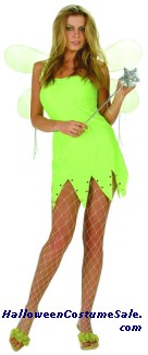 GREEN FAIRY ADULT PLUS SIZE COSTUME