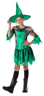 Spider Witch Costume - Teen Size