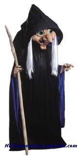 ROSIE WITCH ADULT COSTUME - AS PICTURED