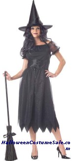 SPARKLE WITCH ADULT COSTUME