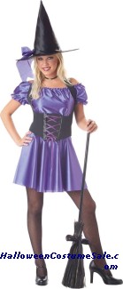 STORYBOOK WITCH ADULT COSTUME