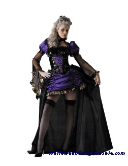 LADY IN WAITING ADULT COSTUME