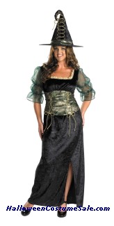 EMERALD WITCH PLUS SIZE COSTUME