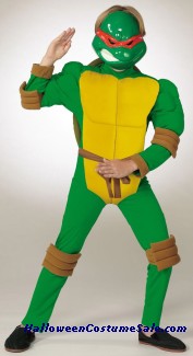 RAPHAEL CHILD COSTUME - W/ MUSCLE CHEST