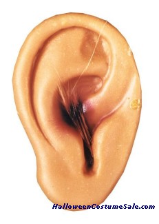 CUT OFF EAR