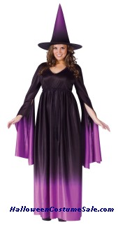 Magical Witch Adult Costume - Plus Size