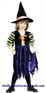 FAIRY TALE WITCH TODDLER COSTUME