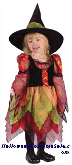 FAIRY WITCH TODDLER COSTUME