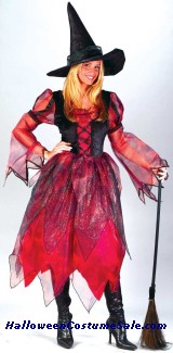 AUTUMN WITCH ADULT COSTUME