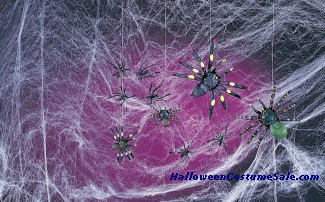 SPOOKY SPIDERS AND WEBS