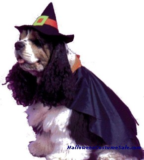 WITCH PET COSTUME