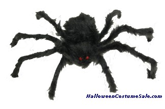 POSEABLE HAIRY SPIDER, 23