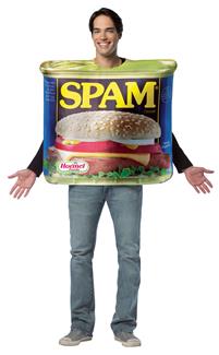 GET REAL SPAM ADULT COSTUME