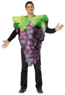 GET REAL BUNCH OF GRAPE COSTUME