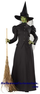 CLASSIC DELUXE WITCH ADULT COSTUME