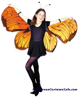 CHILDS BUTTERFLY WINGS