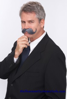 Handle Bar Mustache- Grey