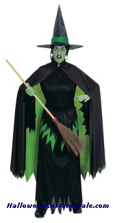 WICKED WITCH ADULT COSTUME