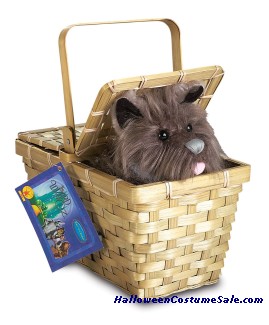 TOTO WITH BASKET DELUXE