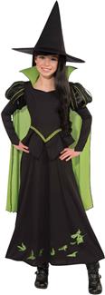 Girls Wicked Witch Of The West Costume - Wizard Of Oz
