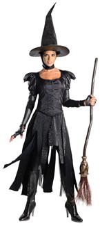 OZ WITCH ADULT COSTUME