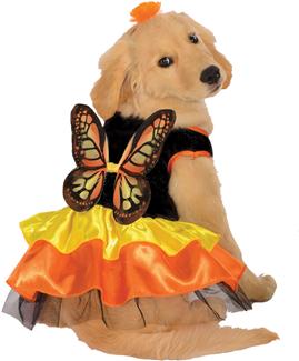 PET COSTUME BUTTERFLY