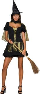 WICKED WITCH SECRET WISHES ADULT COSTUME