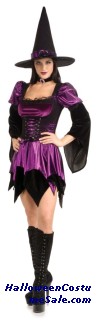SEXY WITCH PLUS SIZE COSTUME