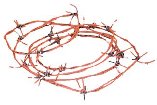 97.5 Rusted Barbed Wire