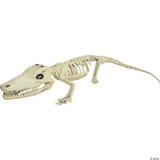 Alligator Skeleton Halloween Decoration