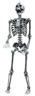 Steel Grey Lightup Skeleton