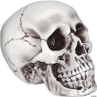 Beige Skull Halloween Decoration
