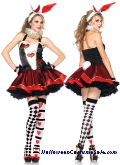 TEA PARTY BUNNY ADULT COSTUME