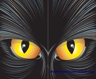Catrageous Cat Eyes