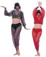 Arabian Royal Dancer costume includes sequin halter top, panties, chiffon pants &amp; veil. Colors available: red, black, silver, gold, and purple.