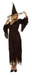 Witch Of The Forest costume includes gauze long gown with tie string.