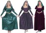 Renaissance Princess costume includes dress &amp; headpice with veil.