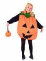 Pumpkin costume includes Pumpkin bodysuit and hood. This is a great classic halloween costume! Black bodysuit and Pumpkin pail not included.