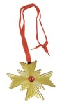 Dracula Medallion - 2 ½ ‘ size. Gold medal with red gem in the center. Adds the final touch to your vampire costume.  