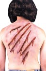 Whip &amp; Spike Scars - Six latex scars varying in length from 6 to 17 inches. Also included are six nail scars for hands.  Blood and adhesive not included.