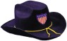 Civil War Officers Hat - Felt - one size. Available in Blue or Gray colors.