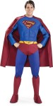 Rental quality muscle chest, heavy lycra costume. Includes top with logo attached, pants, briefs, boot tops, cape and belt. * Trademark and Copyright DC Comics (s06). Medium  38-42, Large 42-46 &amp; XL 46-48.