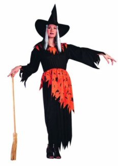 HALLOWEEN WITCH ADULT COSTUME