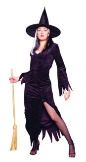 MYSTIC WITCH ADULT COSTUME