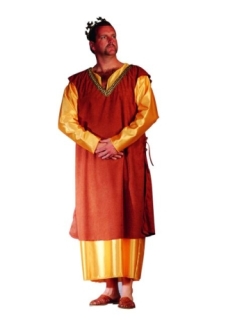 MEDIEVAL KING ADULT COSTUME, PLUS SIZE