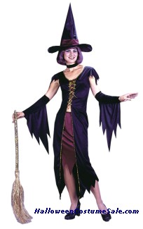 WITCHY WITCH ADULT COSTUME