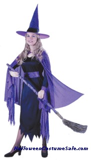 SHIMMERING WITCH COSTUME,PURPLE, ADULT