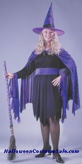 SHIMMERING WITCH PLUS SIZE COSTUME